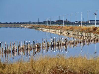 Прикрепленное изображение: bDSCF5957.jpg